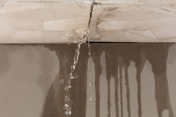 Professional Structural Drying technician working in Wabasso, FL